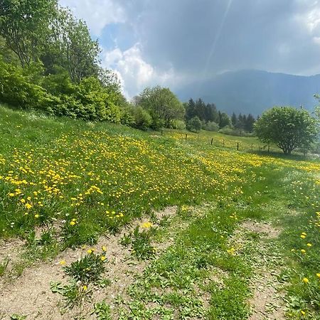 Casa Vacanze Il Pettirosso. Pisogne Exteriör bild