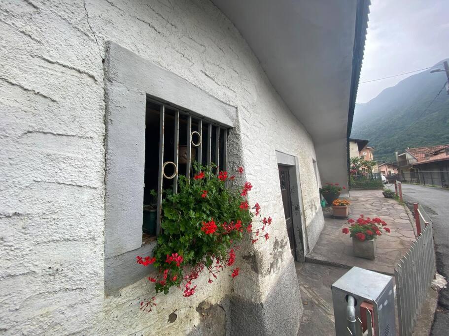Casa Vacanze Il Pettirosso. Pisogne Exteriör bild