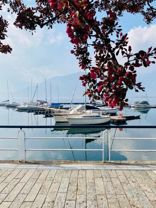 Casa Vacanze Il Pettirosso. Pisogne Exteriör bild