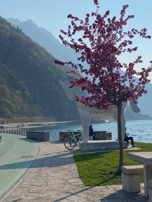 Casa Vacanze Il Pettirosso. Pisogne Exteriör bild