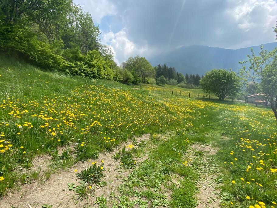 Casa Vacanze Il Pettirosso. Pisogne Exteriör bild