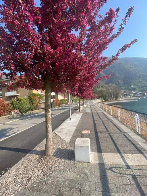 Casa Vacanze Il Pettirosso. Pisogne Exteriör bild