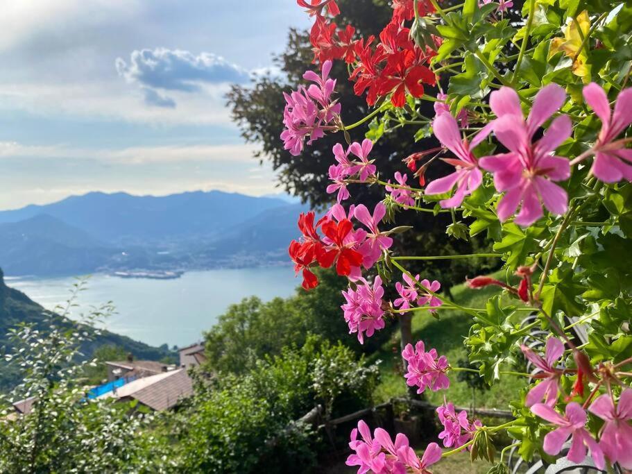 Casa Vacanze Il Pettirosso. Pisogne Exteriör bild